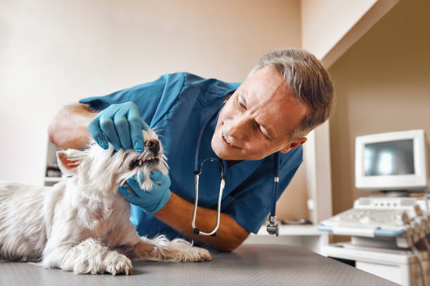 Best Pediatric Emergency Dentist in Copper Canyon, TX